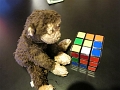 RNH_LXXII (49)_Rubiks